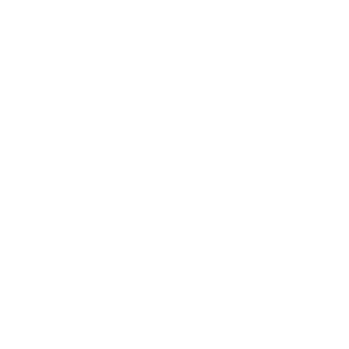 Security Project Management