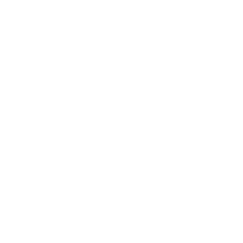 Penetration Testing