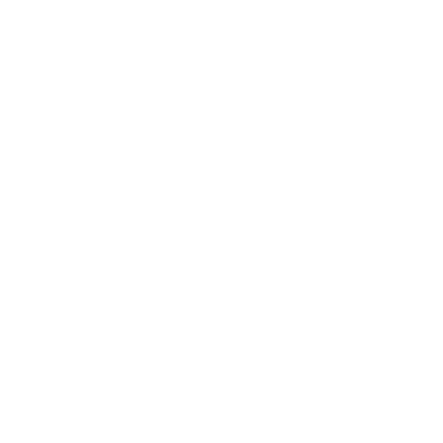 Anti-Drone-Systems